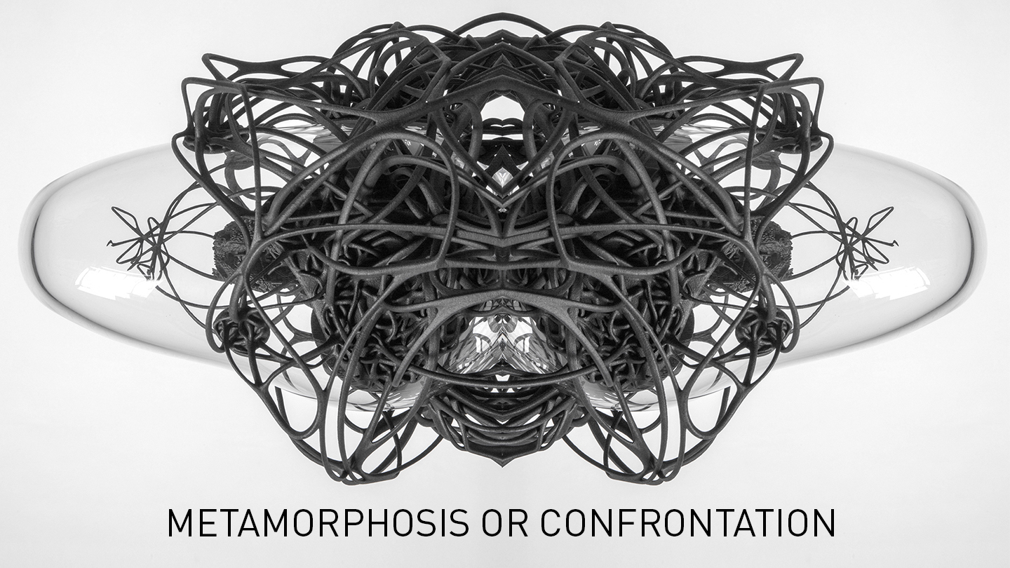 Metamorphosis or Confrontation