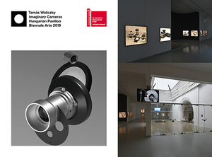 299_WaliczkyVeniceBiennialcollage