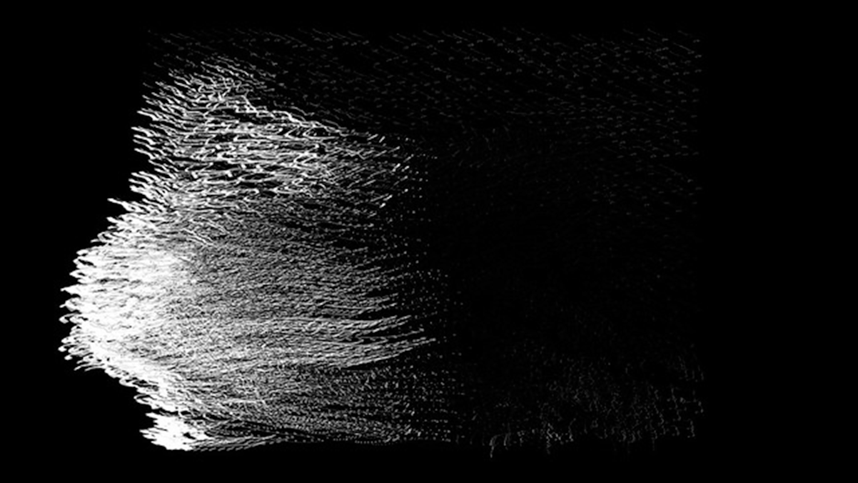 Errant version 2