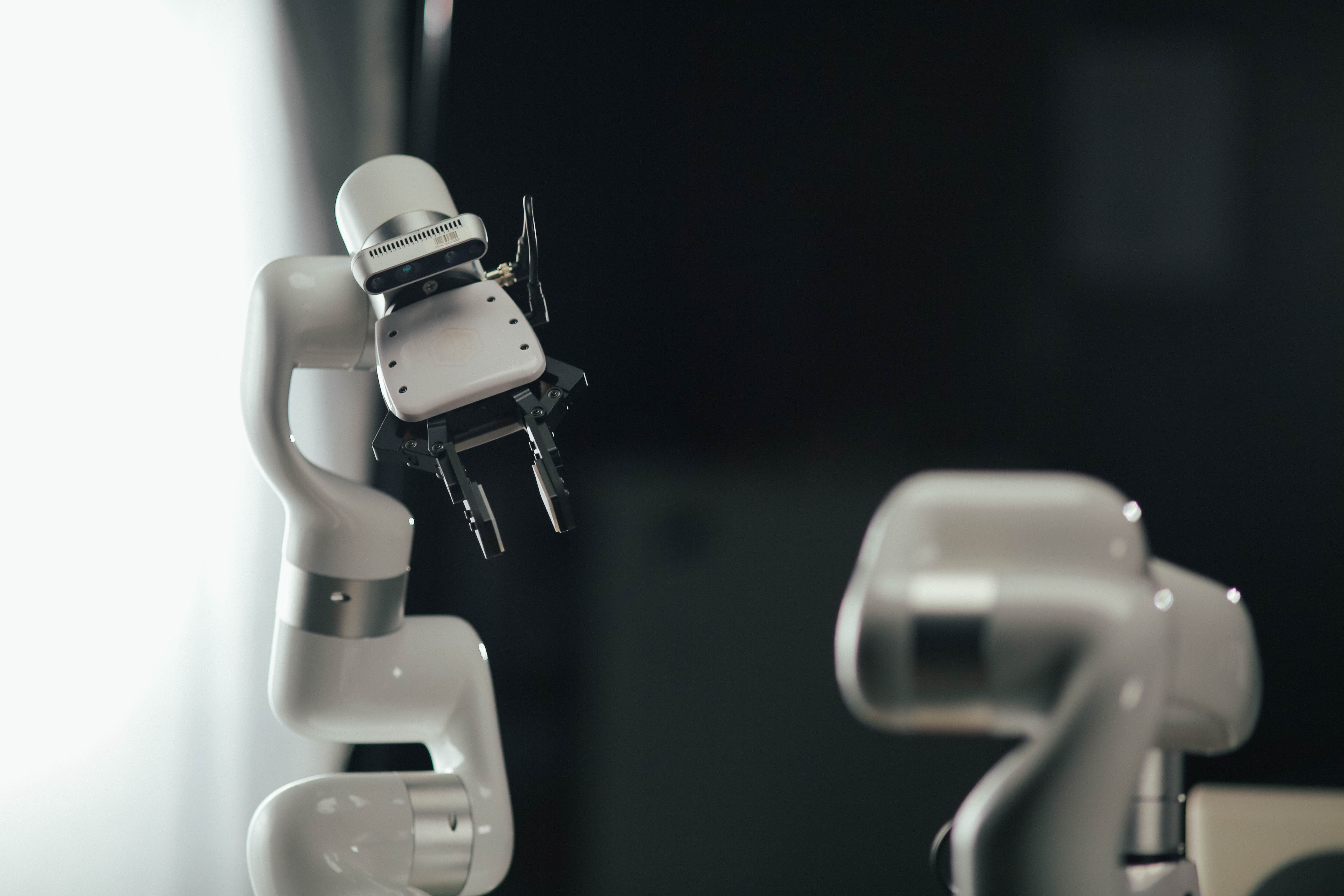 Perception and Play in Social Robotics Groups