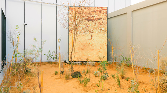 Ecologically-Engaged Art: Fostering Symbiosis with Nature