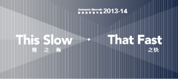 This Slow・That Fast : Animamix Biennale 2013-14