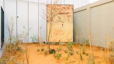 Ecologically-Engaged Art: Fostering Symbiosis with Nature