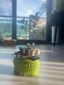 Photo courtesy of Fiona Lee. Firefly (2024).