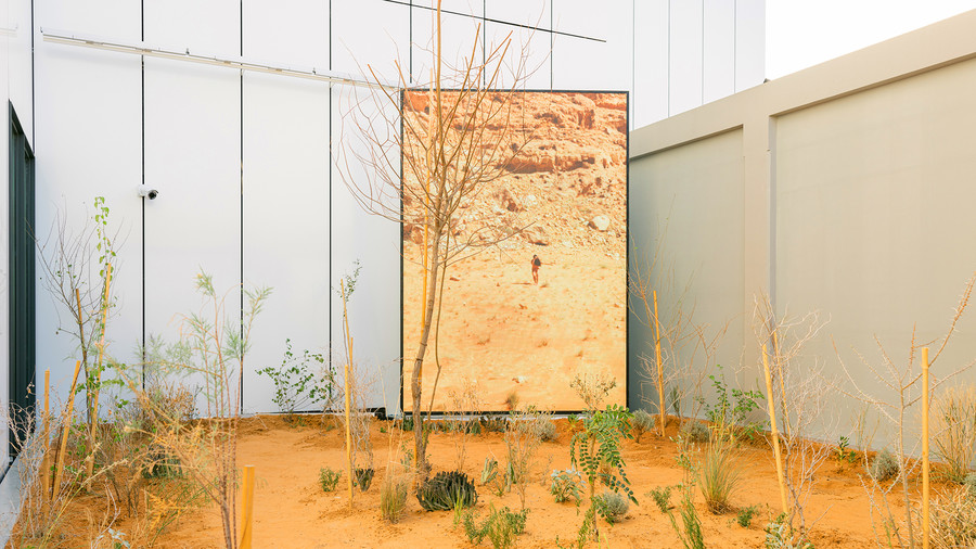 Ecologically-Engaged Art: Fostering Symbiosis with Nature